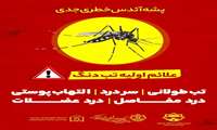 پشه آئدس خطر جدی